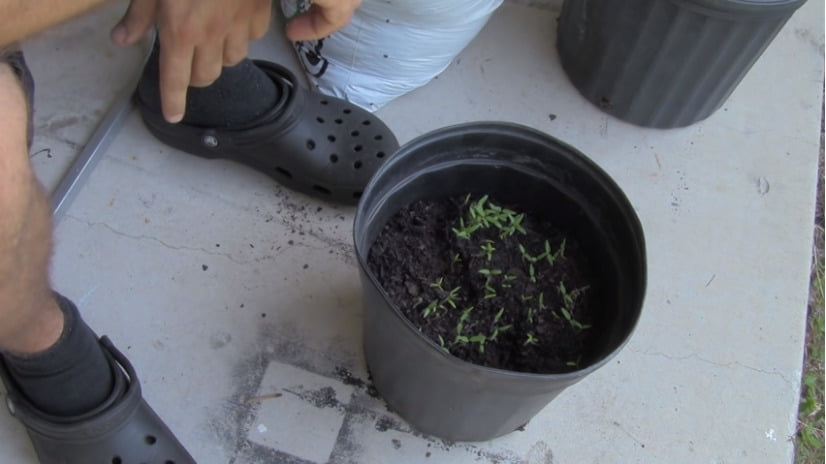 This image has an empty alt attribute; its file name is image-1-9.jpg