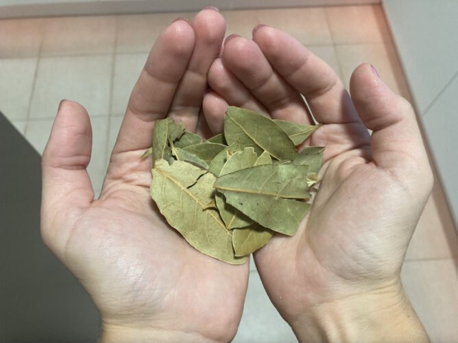 This image has an empty alt attribute; its file name is image-21.jpg